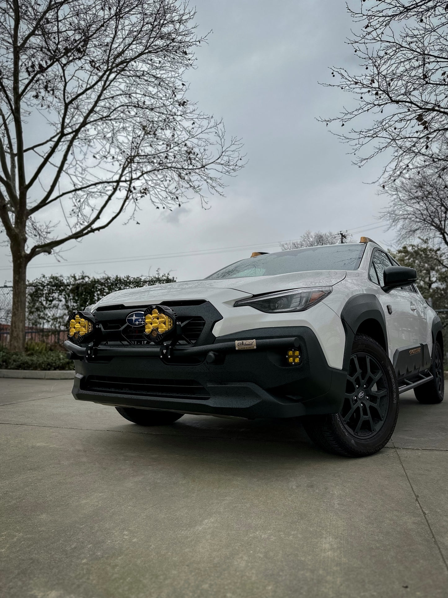CAtuned Off-Road Subaru Crosstrek Wilderness Brush Bar - 4 Wheel Overland