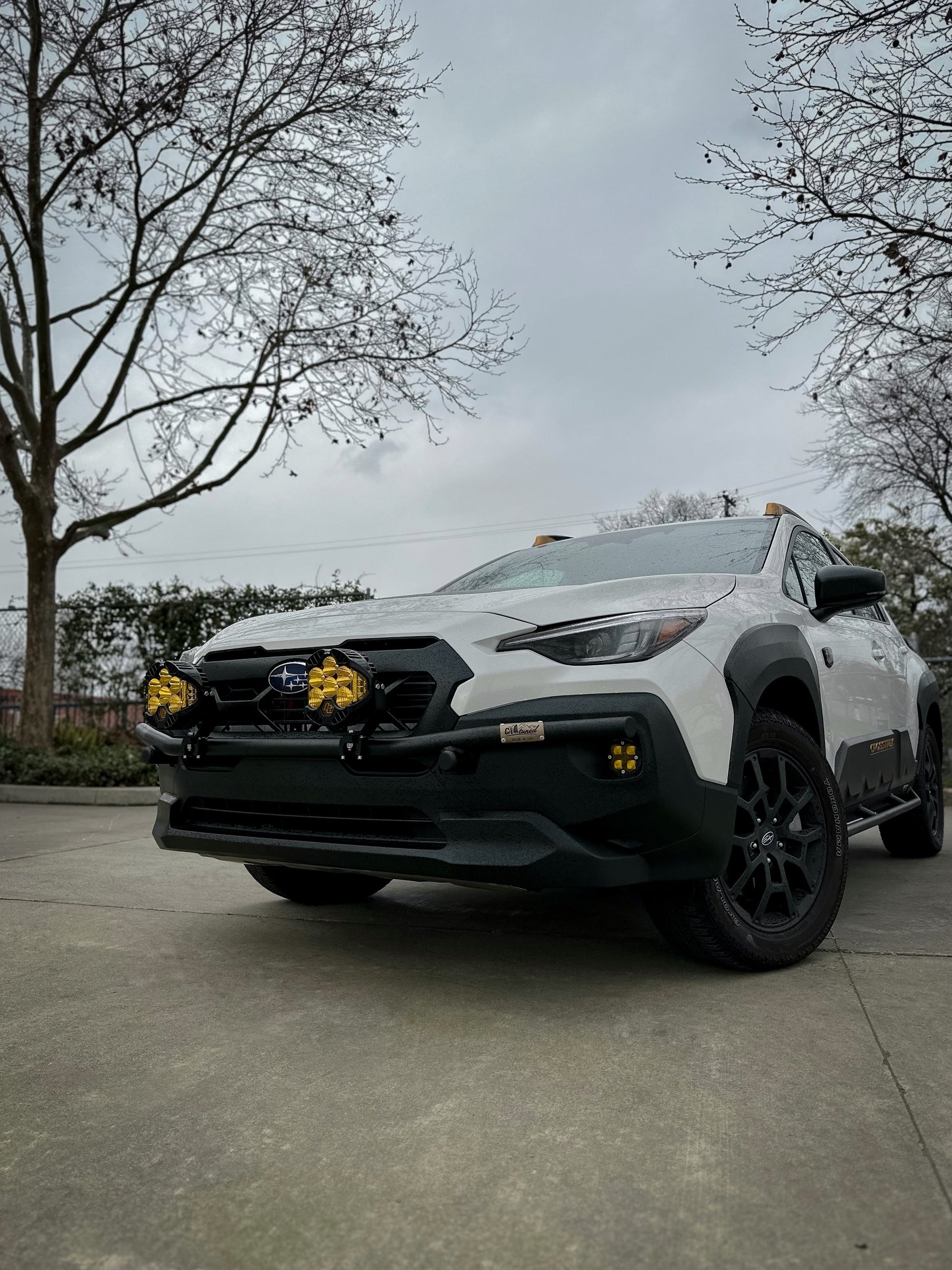 CAtuned Off-Road Subaru Crosstrek Wilderness Brush Bar - 4 Wheel Overland