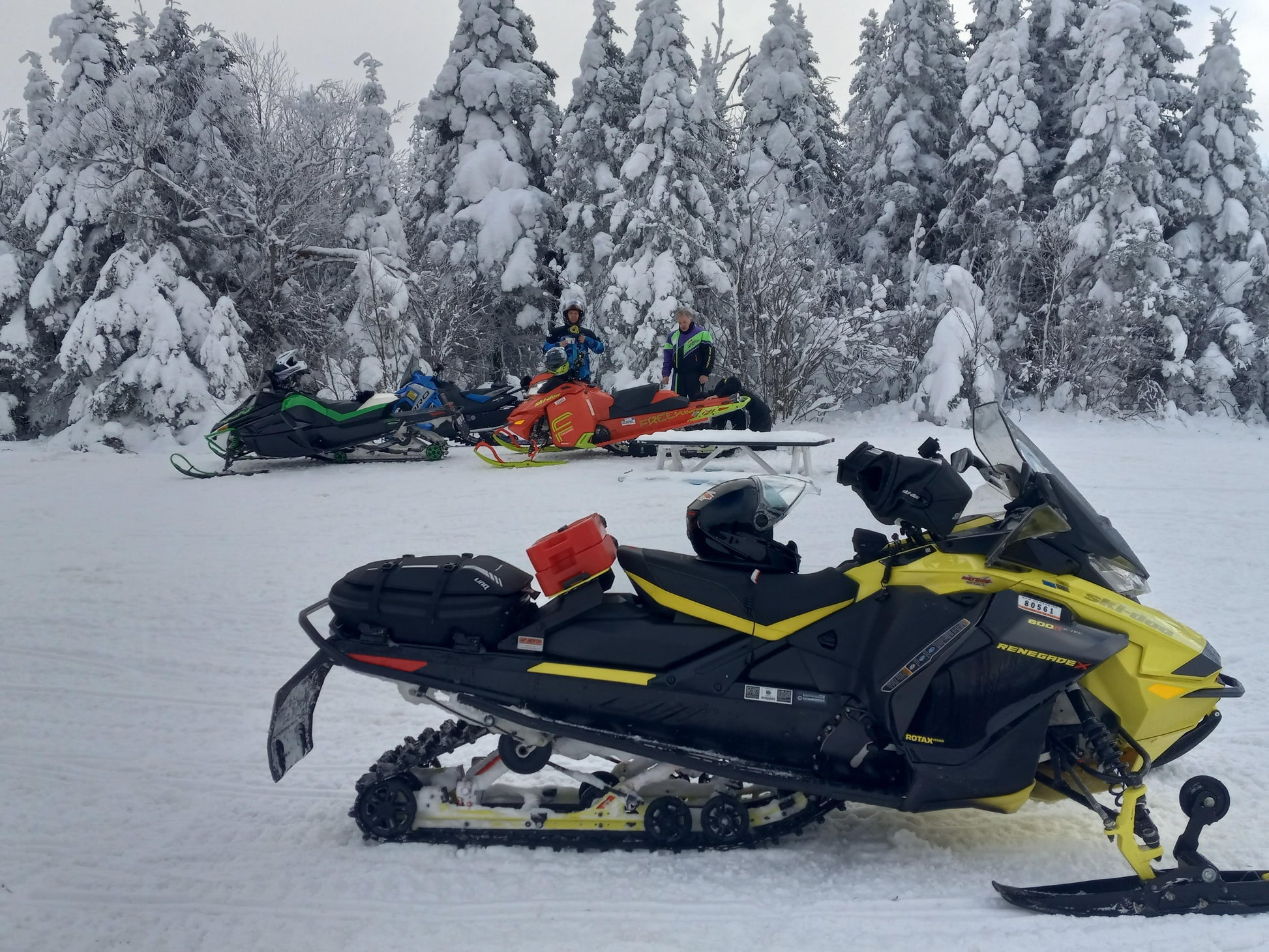 1 Gallon Gasoline - 4 Wheel Overland