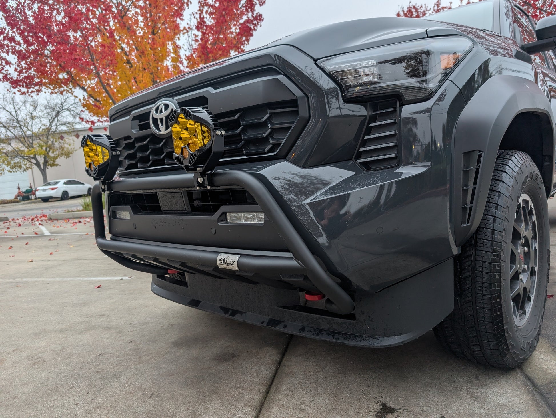 CAtuned Off-Road Toyota Tacoma Brush Bar - 4 Wheel Overland