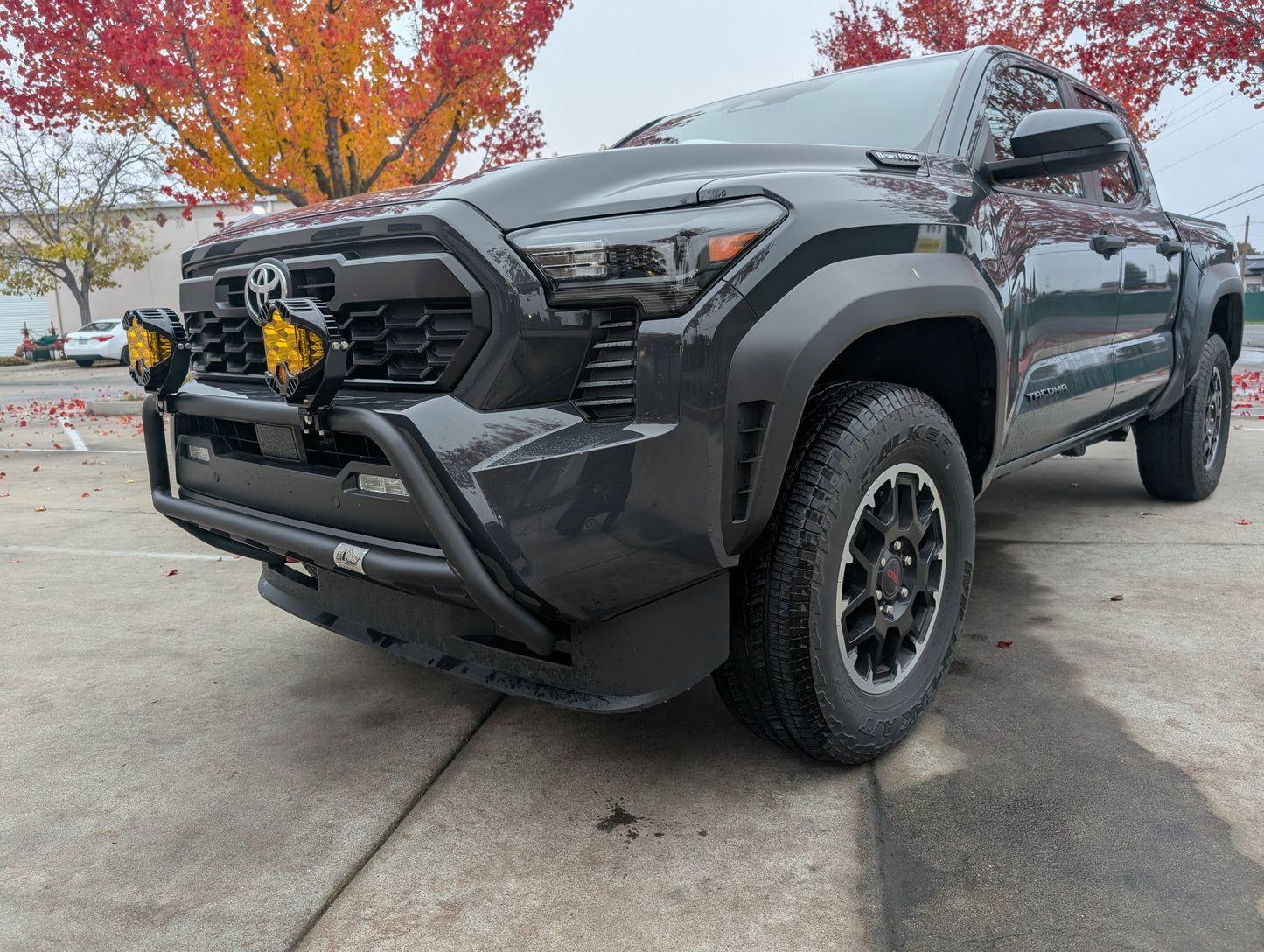 CAtuned Off-Road Toyota Tacoma Brush Bar - 4 Wheel Overland