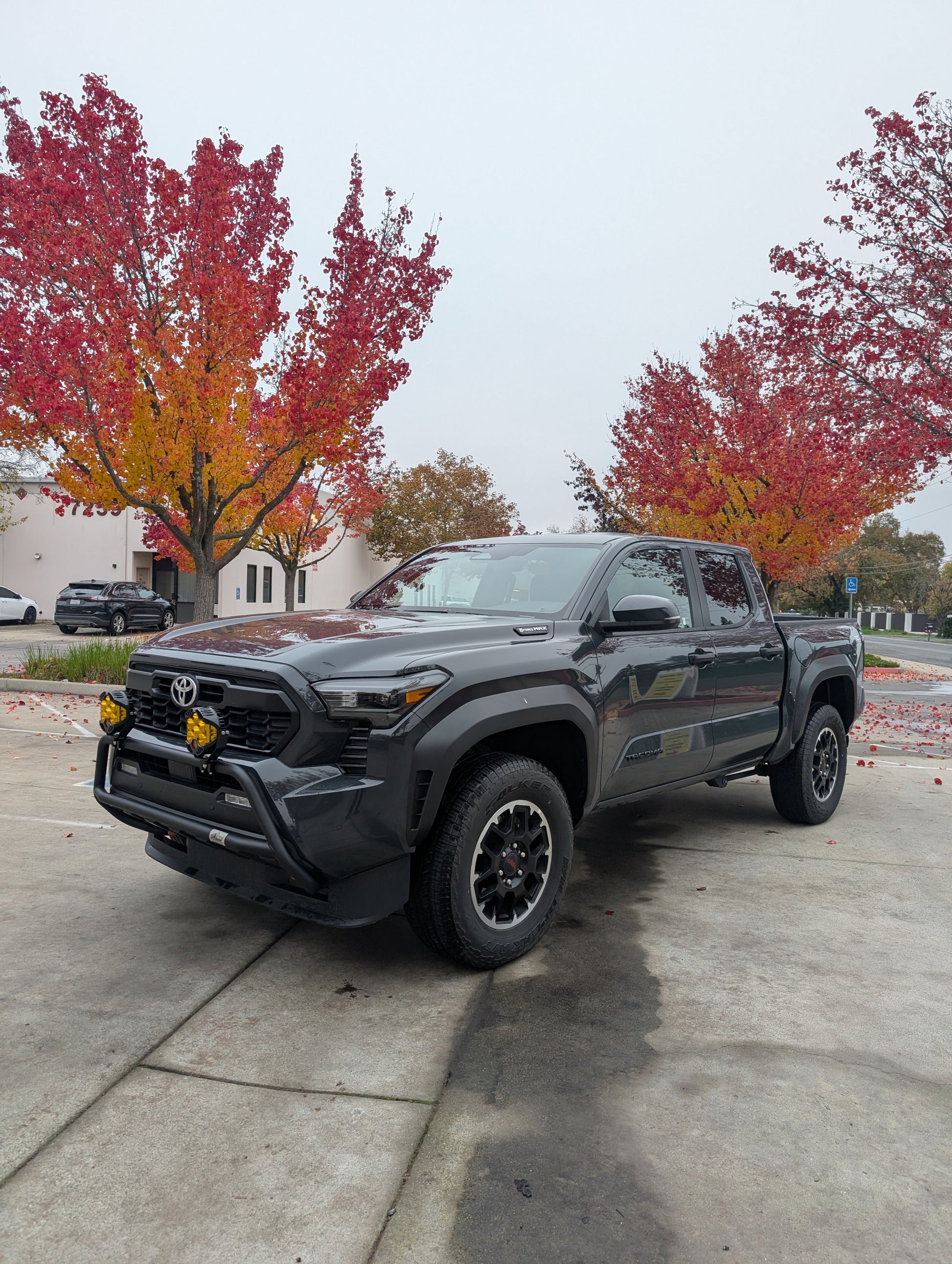 CAtuned Off-Road Toyota Tacoma Brush Bar - 4 Wheel Overland