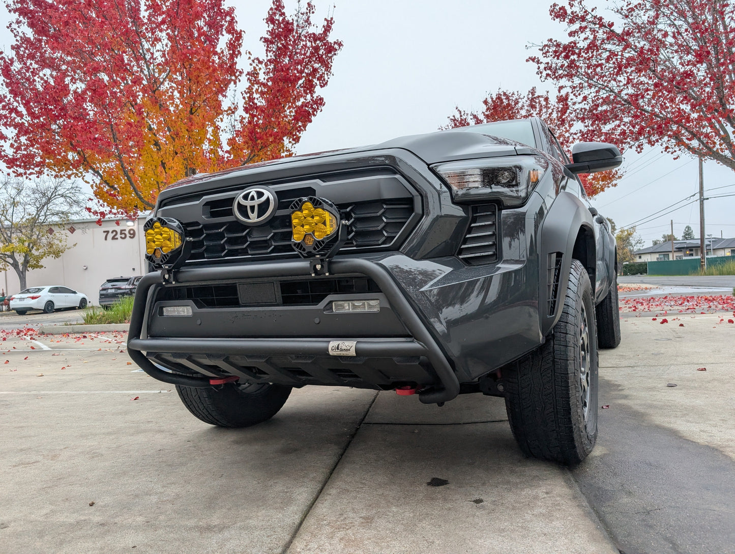 CAtuned Off-Road Toyota Tacoma Brush Bar - 4 Wheel Overland