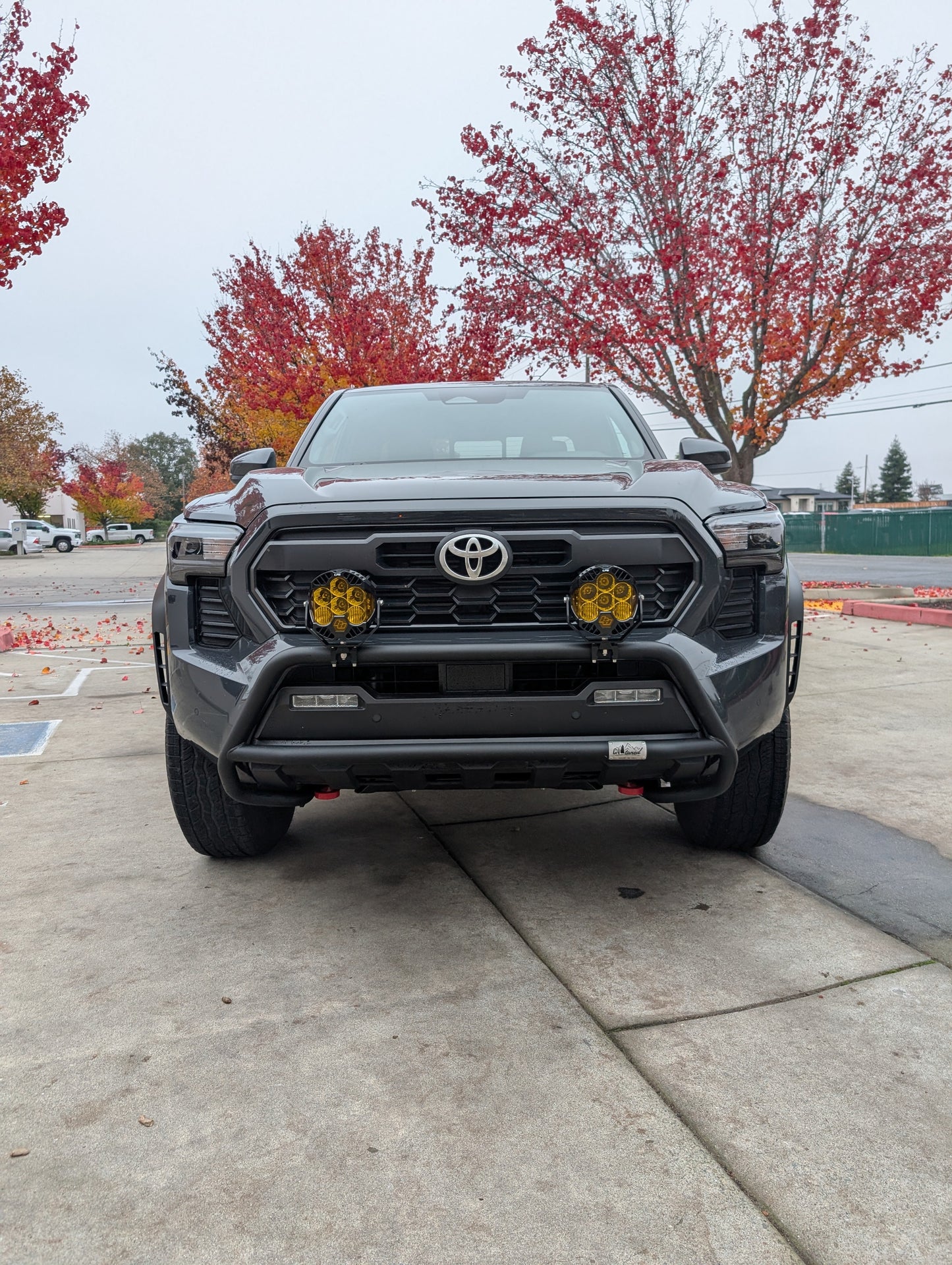 CAtuned Off-Road Toyota Tacoma Brush Bar - 4 Wheel Overland
