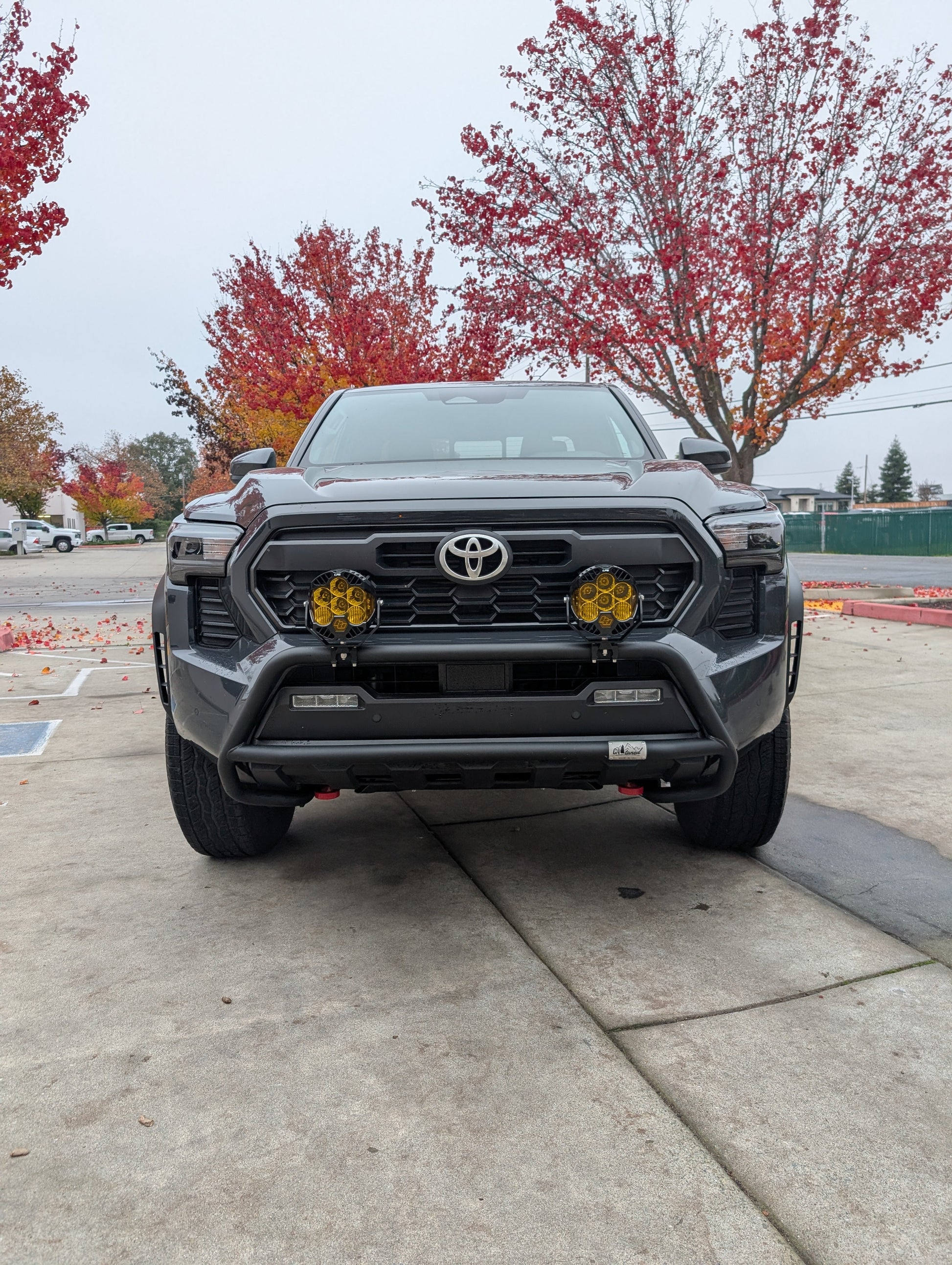 CAtuned Off-Road Toyota Tacoma Brush Bar - 4 Wheel Overland