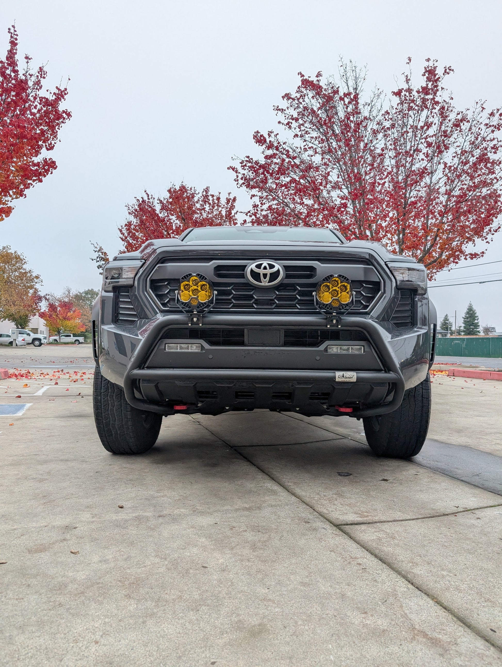 CAtuned Off-Road Toyota Tacoma Brush Bar - 4 Wheel Overland