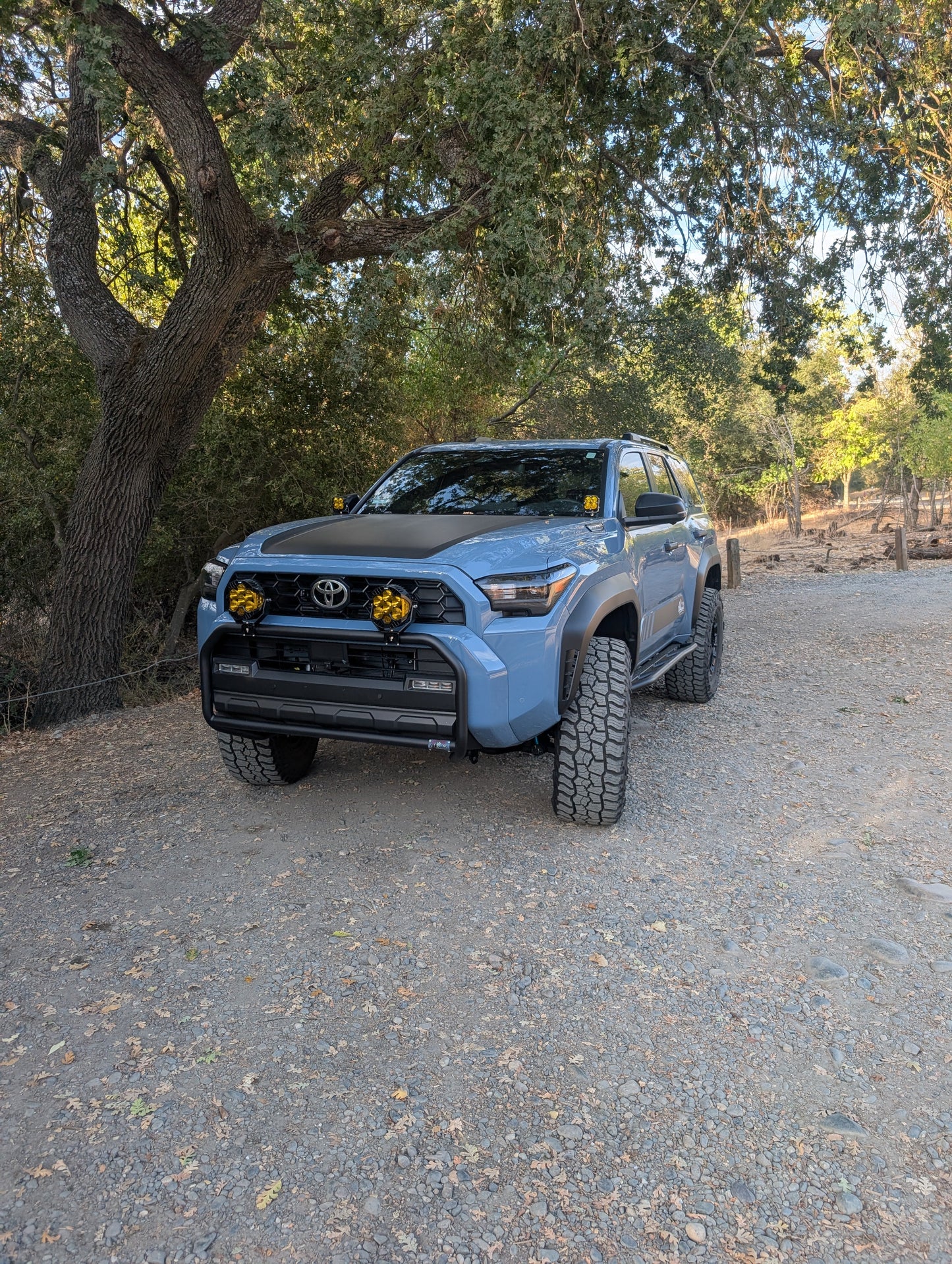 CAtuned Off-Road Toyota 4Runner Brush Bar - 4 Wheel Overland