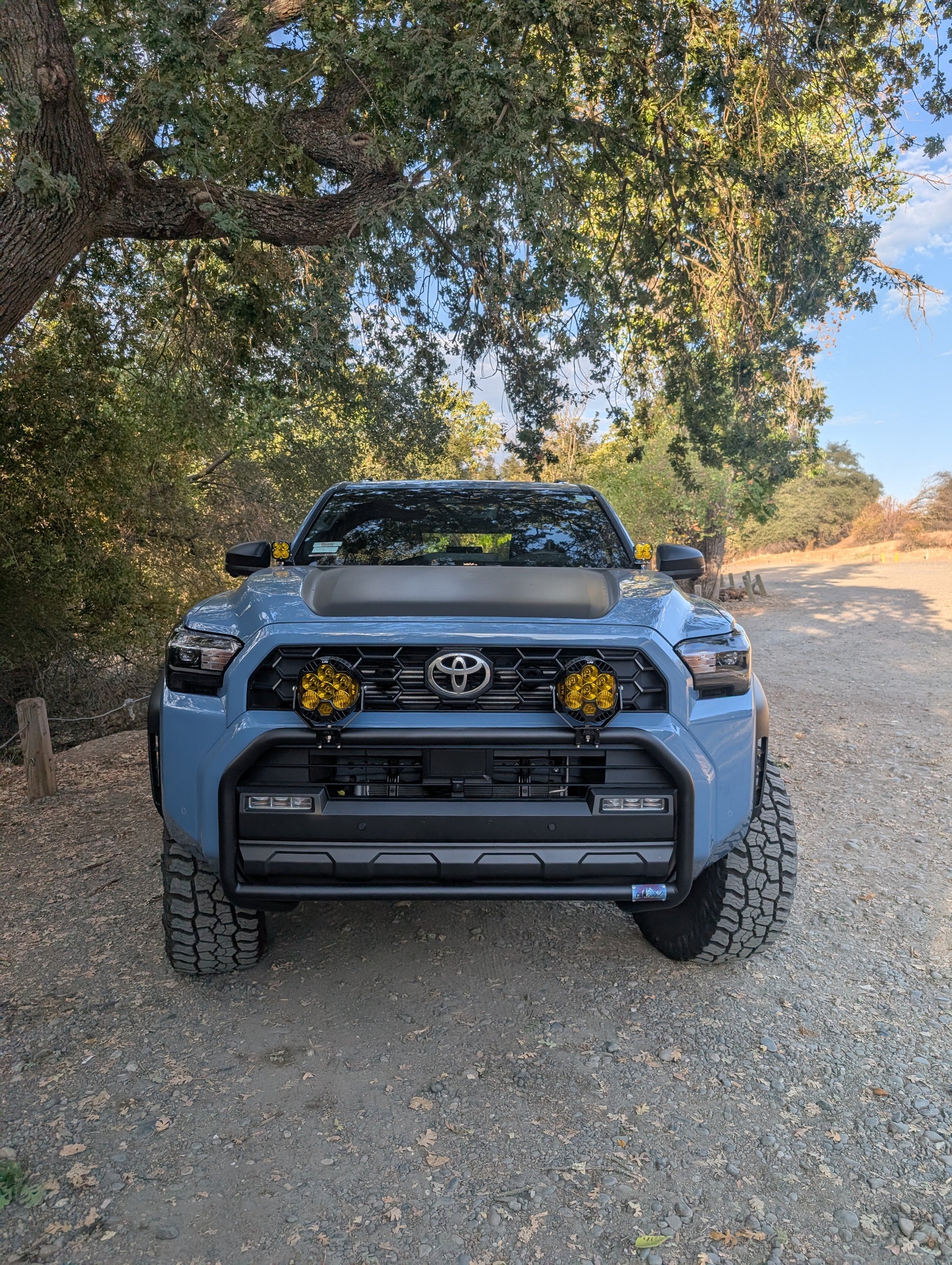 CAtuned Off-Road Toyota 4Runner Brush Bar - 4 Wheel Overland